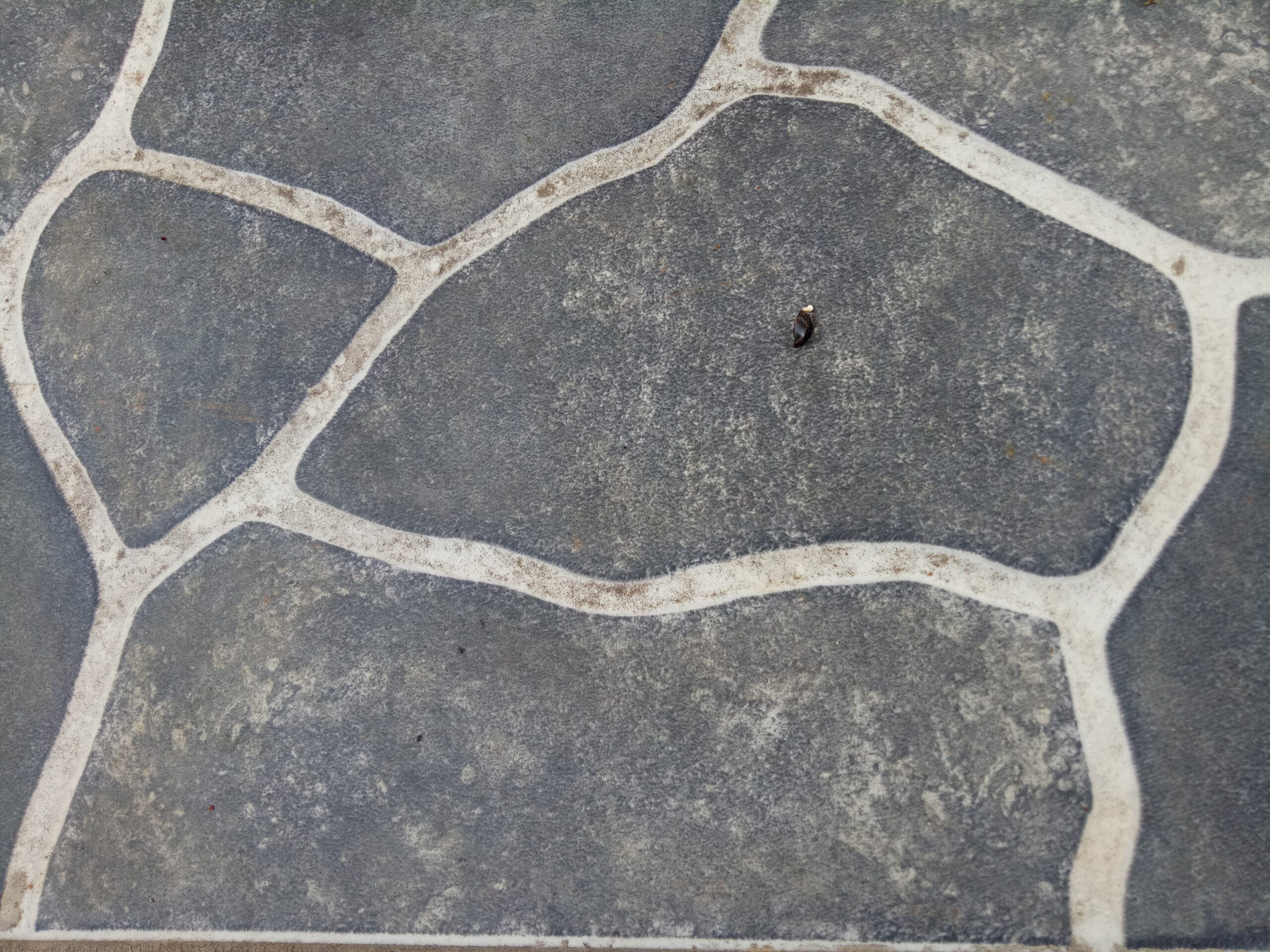 stamped concrete contractor stamped concrete installation
